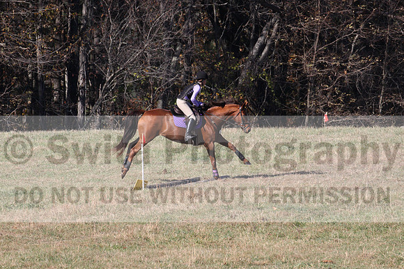 Mandolin Whitten on CJ, Beginner Novice Horse Trials Junior B