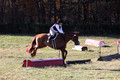 Elizabeth Brown on Adagio, Advanced Green Horse Trials Senior A