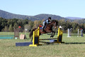 Carol Brickey on Throwing Stones, Advanced Green Horse Trials B