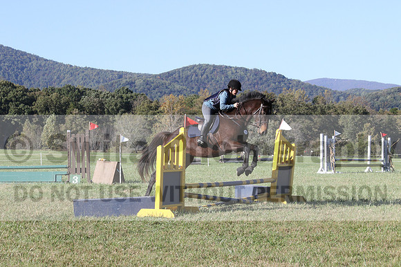 Carol Brickey on Throwing Stones, Advanced Green Horse Trials B