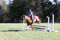 Amy Parsons on Wren Wrouge, Advanced Green Horse Trials A