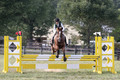 Alyssa Schmitt on MMC A Fine Wine, OT-B