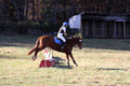 Kylie Oseguera on Boss Man, Advanced Green Horse Trials Junior B