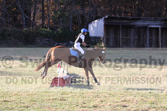 Kylie Oseguera on Boss Man, Advanced Green Horse Trials Junior B