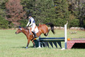 Elizabeth Davis on Freedom's Stormy Night, Beginner Novice Horse Trials Junior B