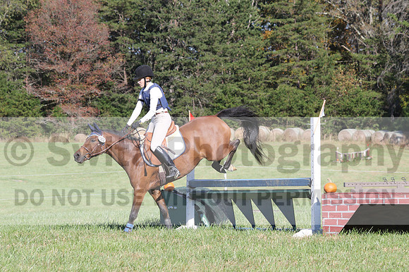 Elizabeth Davis on Freedom's Stormy Night, Beginner Novice Horse Trials Junior B