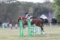 Alyssa Schmitt on MMC A Fine Wine, OT-B