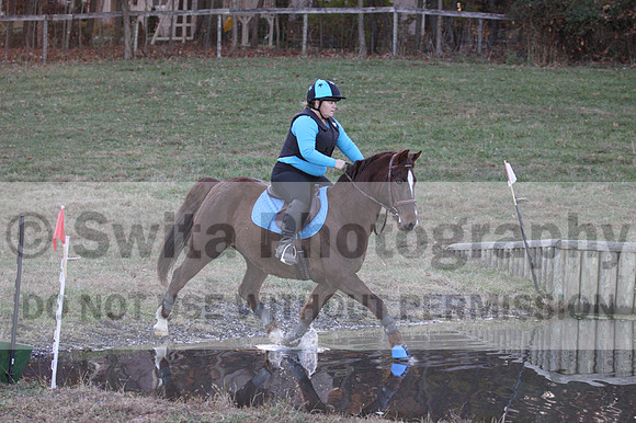 Alison O'Connor on Harwich Maximus, Green Horse Trials Senior