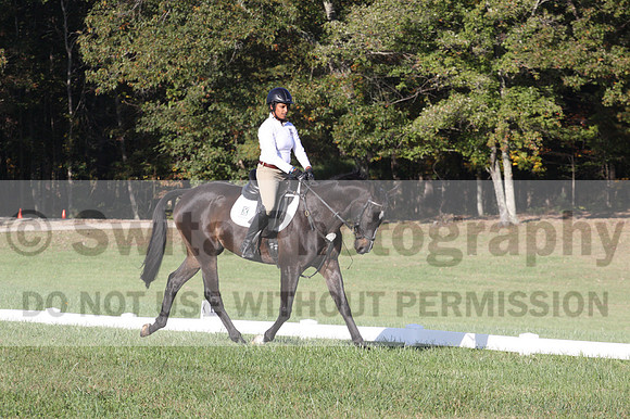 Anna White on Rocking The Ark, Novice Horse Trials Senior A