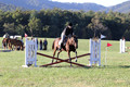 Kathleen Pimblett on Royal Grace, Green Horse Trials