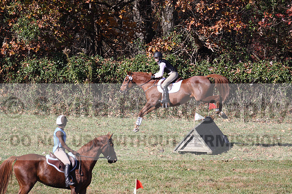 Julia Rhinehart on On A Quest, Novice Horse Trials Senior