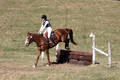 Ingrid Dunn on Ruby Redbird, Beginner Novice Horse Trials Senior C