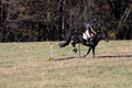 Leah Childers on Priscilla, Beginner Novice Horse Trials Junior B