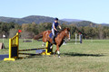 Amy Parsons on Wren Wrouge, Advanced Green Horse Trials A