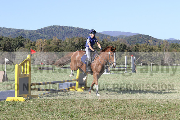 Amy Parsons on Wren Wrouge, Advanced Green Horse Trials A