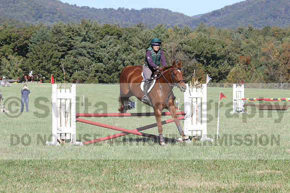 Terry Adcock on Irish Belle, Novice Horse Trials Senior B, Dressage Only: First Level, Test 2