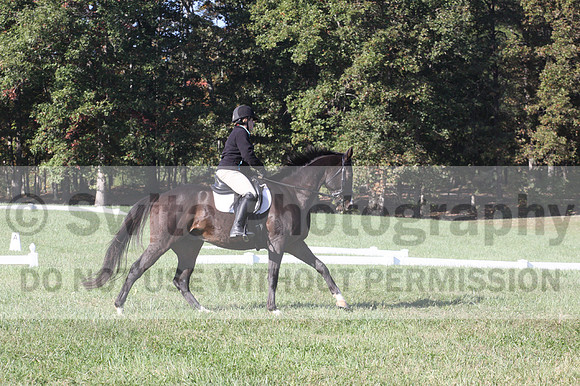 Mimi Combs on Aristocrat, Beginner Novice Horse Trials Senior A