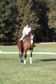 Allie Farley on Fiona, Novice Horse Trials Senior A