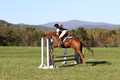 Alexandria Morocom on Da Lime and Da Coconut, Advanced Green Horse Trials B