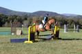 Clay Cooke on Clifford Dun It Again, Advanced Green Horse Trials B