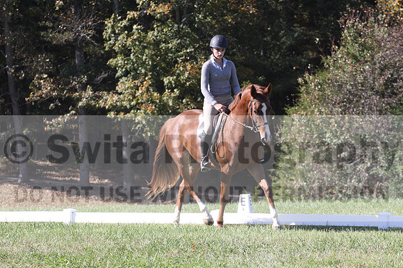 Haley Morrissey on Picturesque Serenade, Advanced Green Horse Trials A