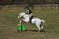 Eliza Carr Schmidt on Christmas Belle, Beginner Novice Horse Trials Junior B