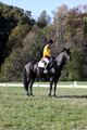Madlen Lesesne on SBF Figaro, Advanced Green Horse Trials B