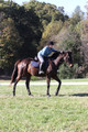 Carol Brickey on Throwing Stones, Advanced Green Horse Trials B