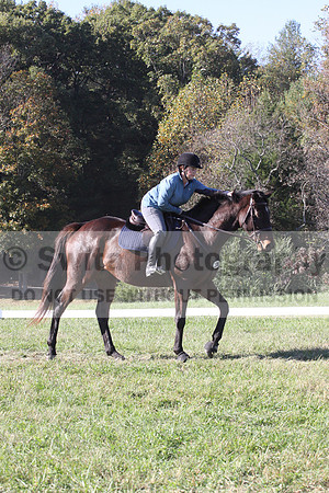 Carol Brickey on Throwing Stones, Advanced Green Horse Trials B