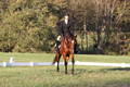 Paula McConnell on Summers Lilac, Dressage Only: Beginner Novice A