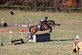 Shannon Daily on Pitt Maneuver, Novice Horse Trials Senior