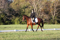 Paula McConnell on Summers Lilac, Dressage Only: Beginner Novice A