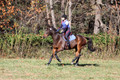 Shannon Daily on Pitt Maneuver, Novice Horse Trials Senior