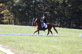 Emily Kagey on Flicka, Beginner Novice Horse Trials Junior A