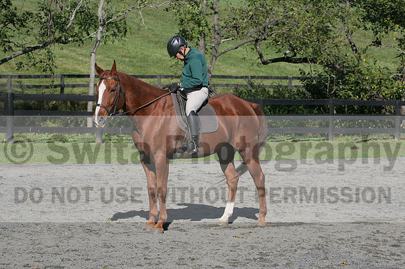 John Weir on Admiral, Dressage Only: Training Level, Test 2/3