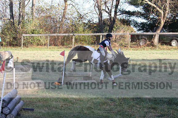 Reagan Roy on Paint By Numbers, Green Horse Trials Junior