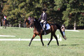 Margo Hardy on Soling's Hat Trick, Novice Horse Trials Senior B