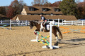 Reagan Roy on Paint By Numbers, Green Horse Trials Junior