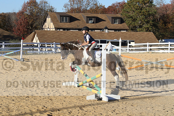 Reagan Roy on Paint By Numbers, Green Horse Trials Junior