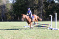 Amy Parsons on Wren Wrouge, Advanced Green Horse Trials A