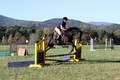 Lauren Seitz on Lyra Belacqua WRF, Advanced Green Combined Test