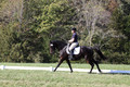 Lauren Seitz on Lyra Belacqua WRF, Advanced Green Combined Test