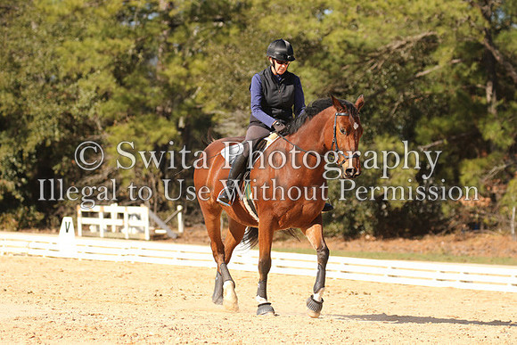 P22E3138