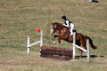 Ingrid Dunn on Ruby Redbird, Beginner Novice Horse Trials Senior C