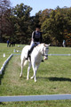 Kay Brady on Destiny's Mystique, Beginner Novice Horse Trials Senior C