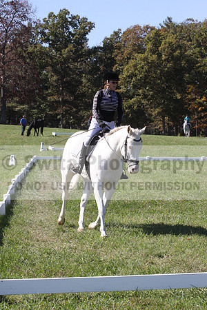 Kay Brady on Destiny's Mystique, Beginner Novice Horse Trials Senior C