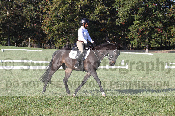 Anna White on Rocking The Ark, Novice Horse Trials Senior A
