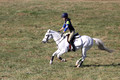 Eliza Carr Schmidt on Christmas Belle, Beginner Novice Horse Trials Junior B