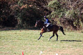 Francesca Toms on Top Secret, Novice Horse Trials Junior