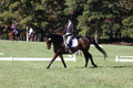 Margo Hardy on Soling's Hat Trick, Novice Horse Trials Senior B